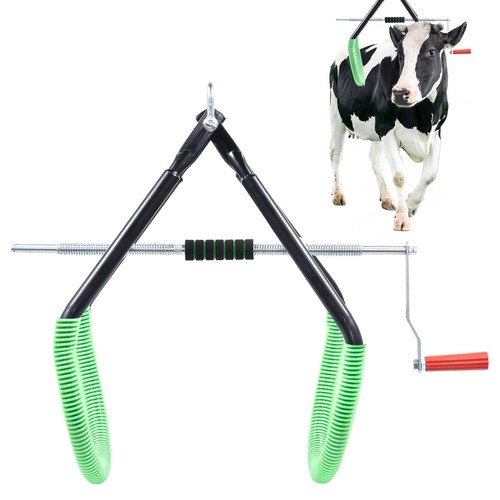 Lame cow hip lift - hip,